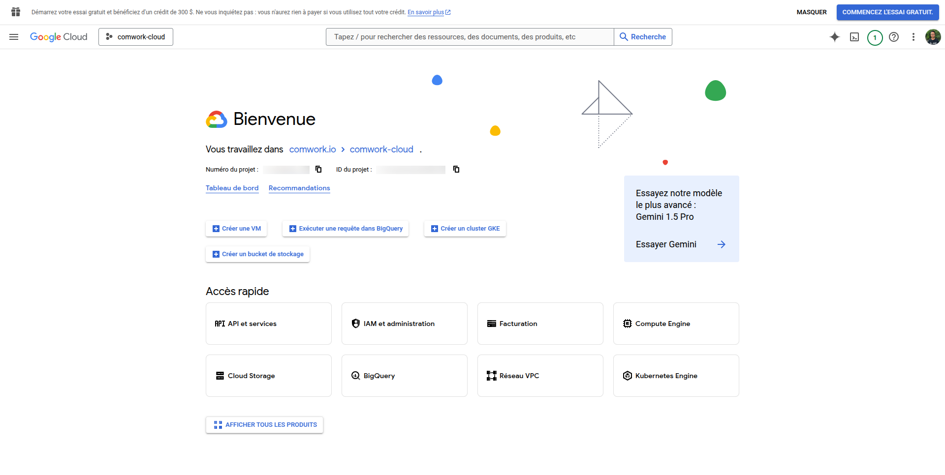 Google Console